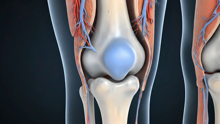 ϥ�ؽڲ���3D��ʾ