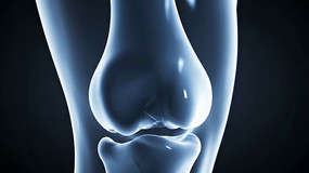 ϥ�ؽڹ���3Dչʾ�ز�