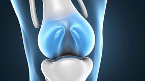 ϥ�ؽڹ�����ҩ���޸�����