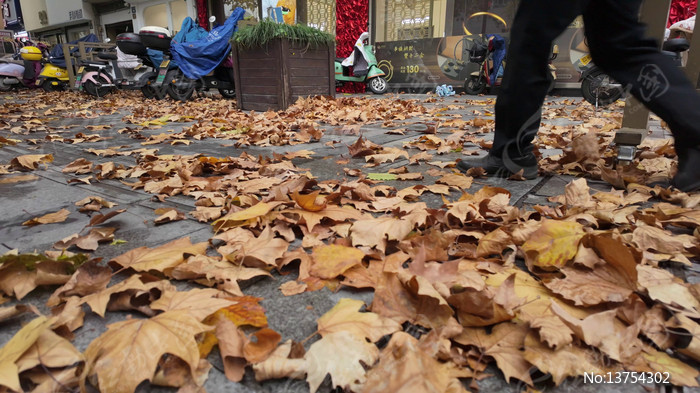 �����߹�������Ҷ�Ľֵ�