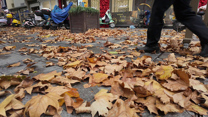 �����߹�������Ҷ�Ľֵ�