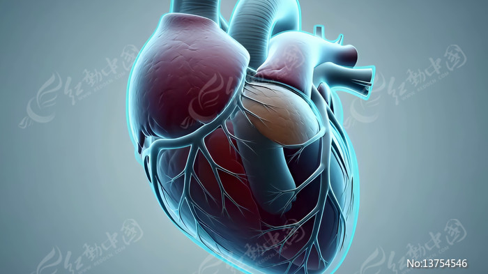 ����ҽѧ3Dģ��չʾ�ز�