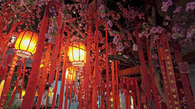 ���ҵ�����������ҹ��