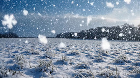 ѩ��Ʈѩ��Ȼ����ز�