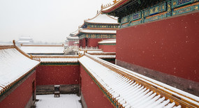 ѩ����ǽ����