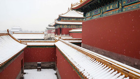 ѩ����ʽ�Ž�������