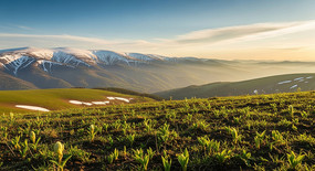 ѩɽ�µĲ�ԭ��ɫ