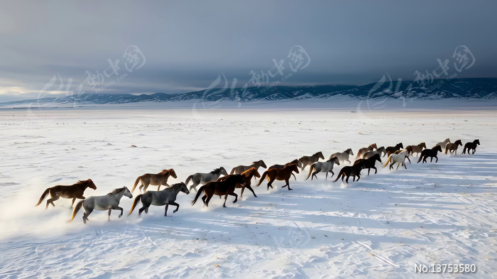 ѩԭȺ������