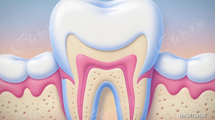 ���ݽṹҽѧչʾ�ز�