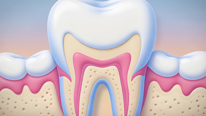 ���ݽṹҽѧչʾ�ز�