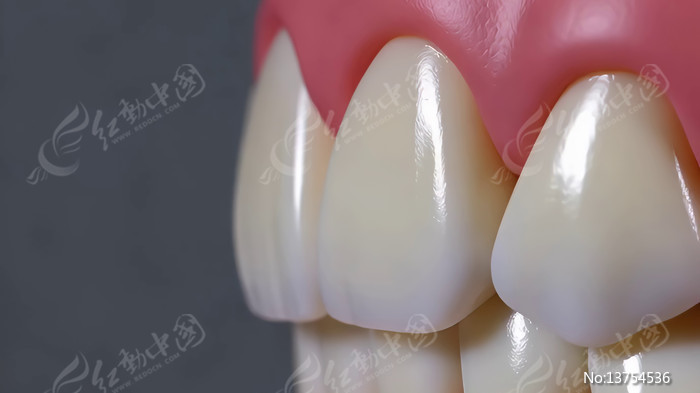 ���ݿ�ǻģ����д