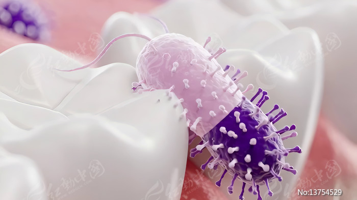 �����ϵ�ϸ��΢��չʾ