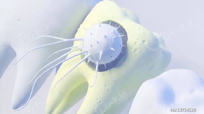 ��������3D������ʾ