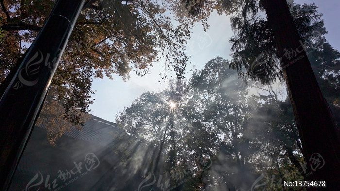 ���⴩͸���ֹ���