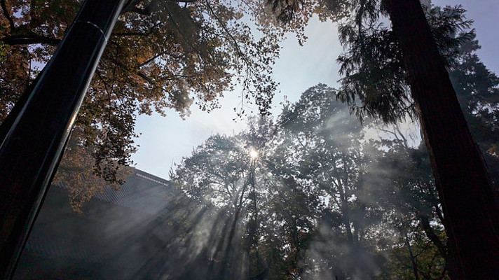 ���⴩͸���ֹ���