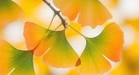 �����µĽ������