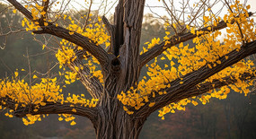 �����µĽ������