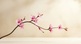 �����һ�֦��д