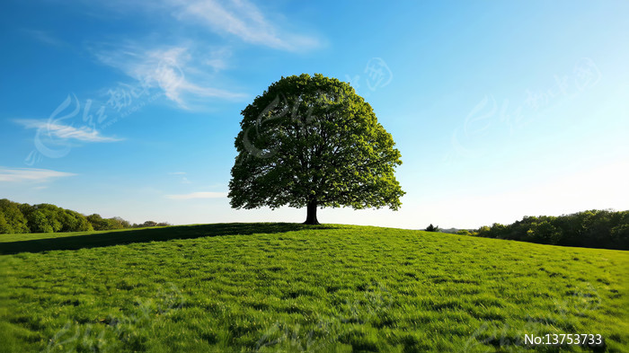 һ�����Ĵ����ﶬ