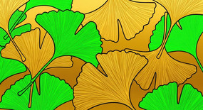 ����Ҷ����װ�α���