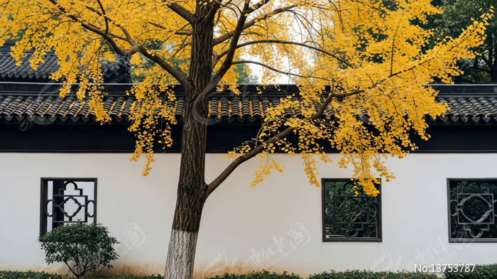 ��ʽ�����Ե��������ﾰ