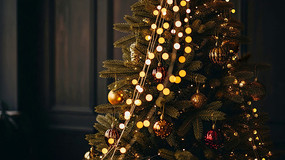 װ�ξ�����ʥ����