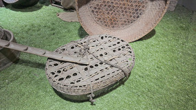 �������չʾ