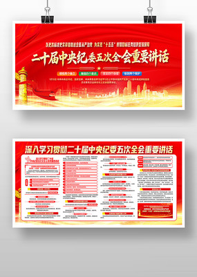 ��ʮ�������ί���ȫ����龫�񵳽�չ��