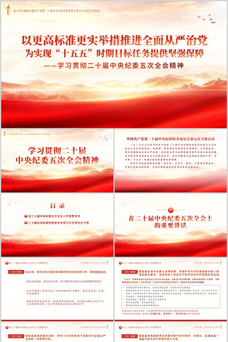 ��ʮ�������ί���ȫ�ᾫ��ѧϰ����PPT