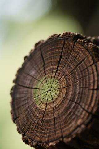 ֲ���ں������� PNG