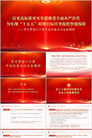 ��ʮ�������ί���ȫ�ᾫ��ѧϰ����PPT