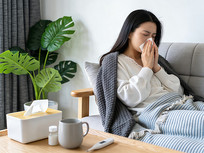 ��ð�����ľӼ�Ů��