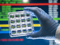 ʵ���ҵ�������