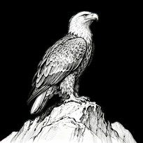 �ֻ����ӥ��ʯɽ��廭�ز�