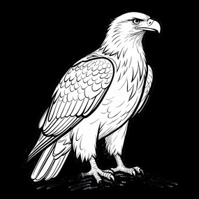 �ֻ����ӥվ����ʯ�廭�ز�