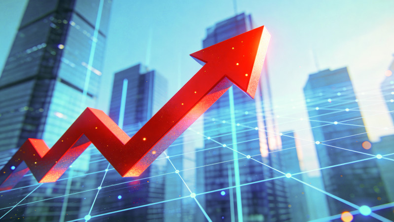 ���������ĺ��ͷ