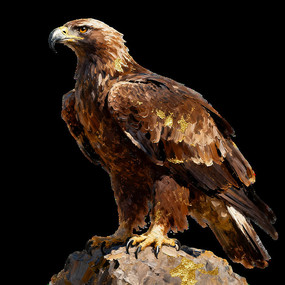 վ����ʯ�ϵ�������ӥ 