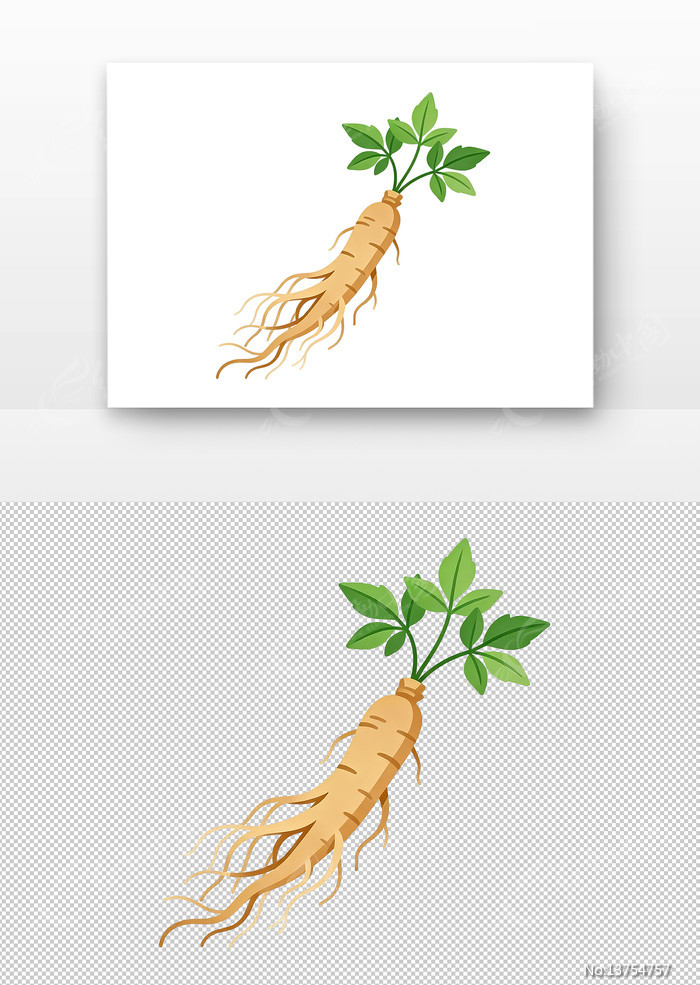 �˲β廭����Ҷ�����