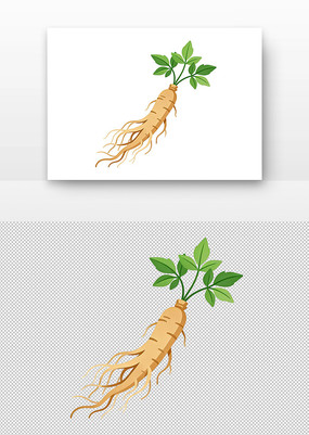 �˲β廭����Ҷ�����