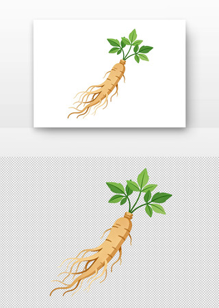 �˲β廭����Ҷ�����