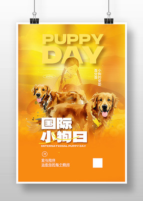 ����С���պ���