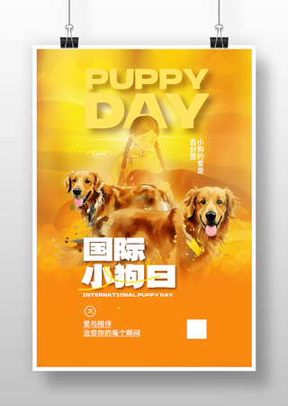 ����С���պ���