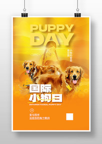 ����С���պ���