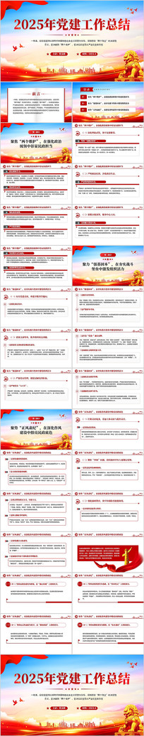 2025�굳�������ܽ�PPTģ��