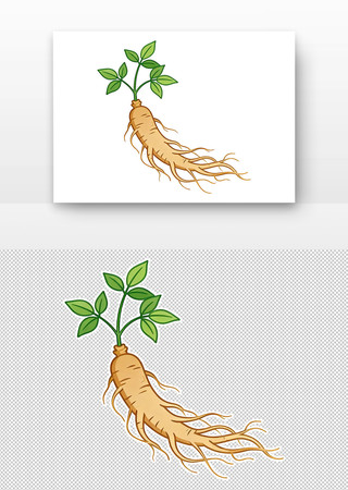 ��ͨ�����˲β廭����Ҷ