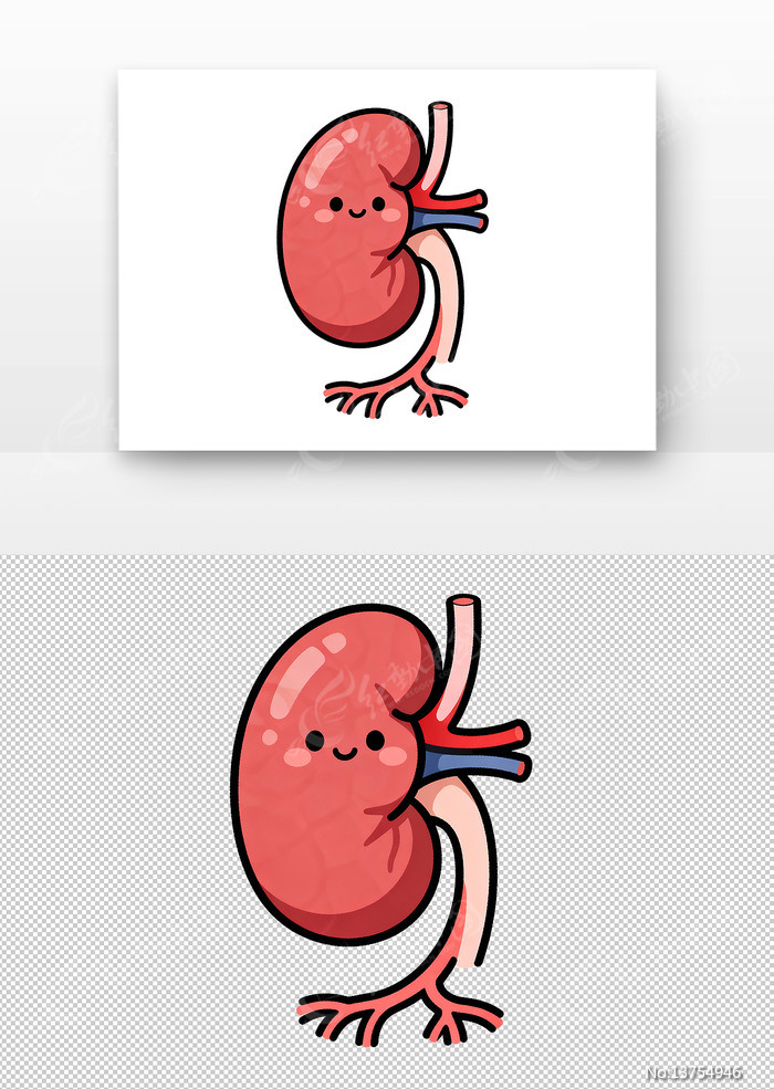 ��ͨ����ɫ��������