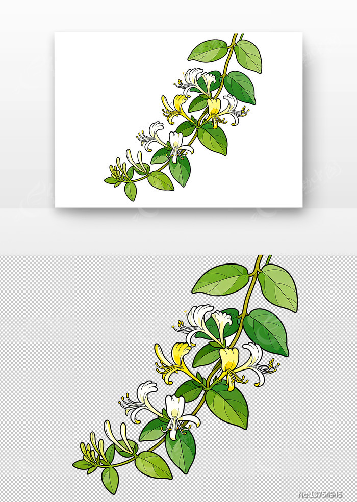 ��ͨ���������廭