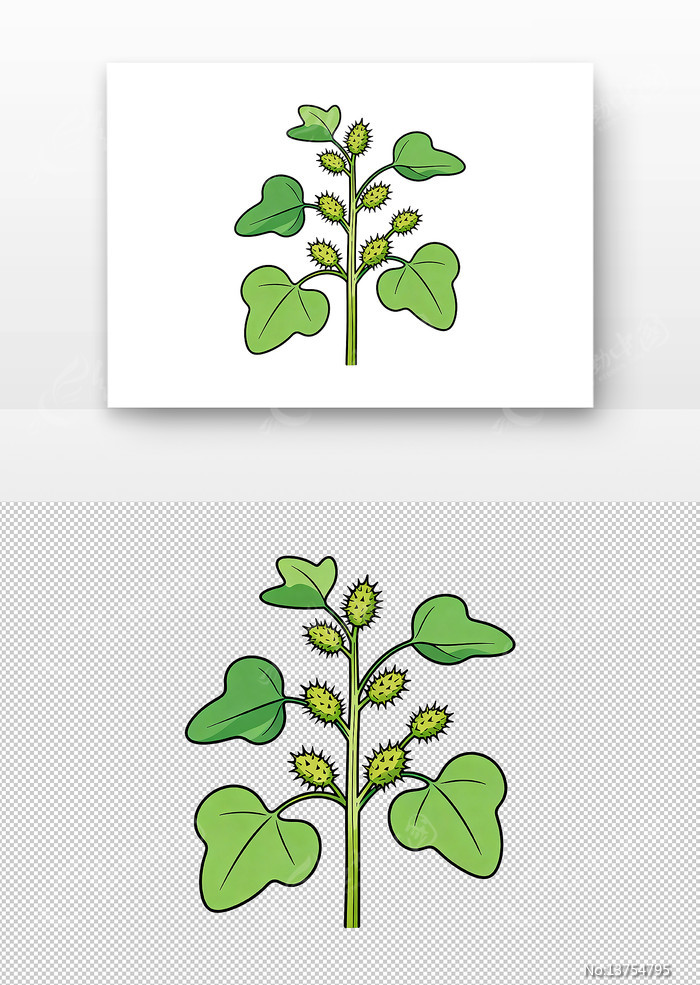 ��ҩ�Զ��廭