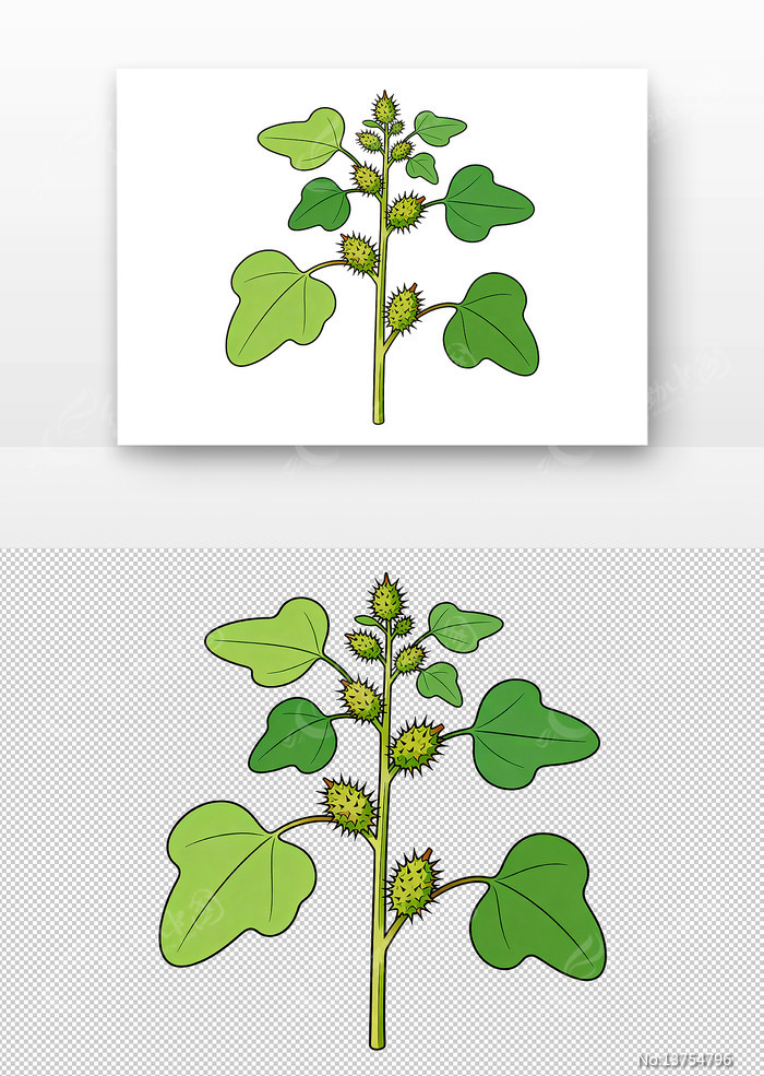 ��ҩ�Զ��廭