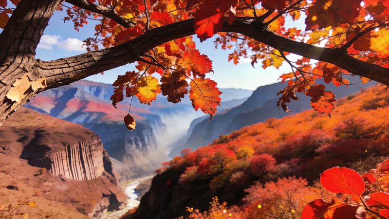 秋天的山林 秋天的山林